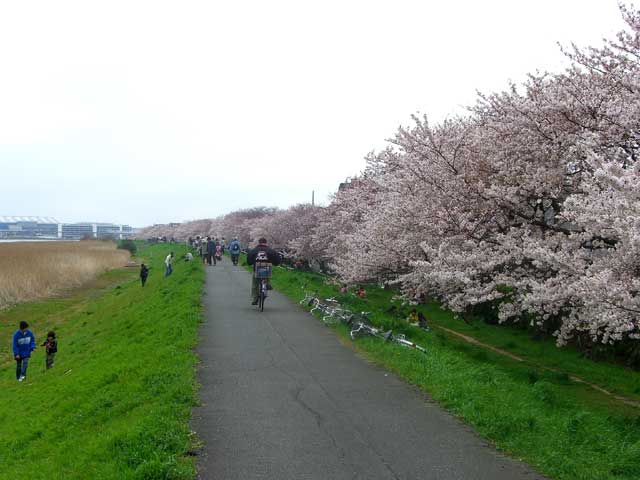 b0120492_1775492.jpg
