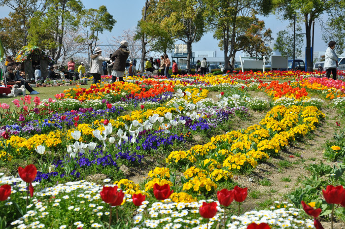 b0143293_2149589.jpg