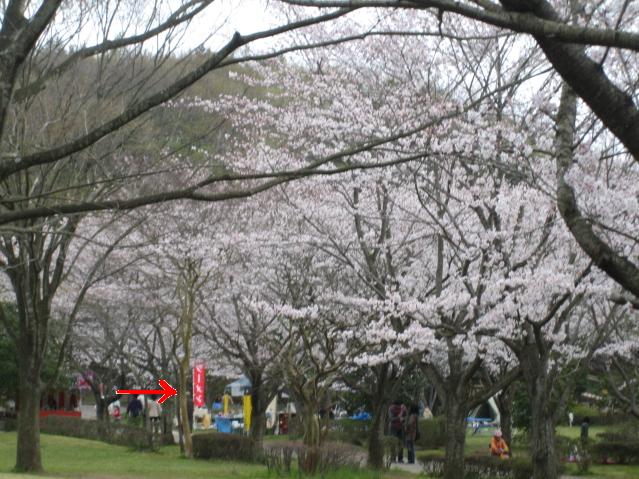 a0167100_234556.jpg