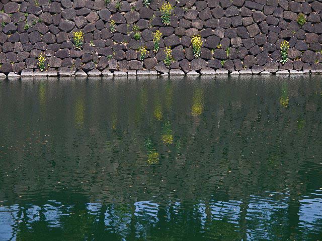 c0008502_20321762.jpg