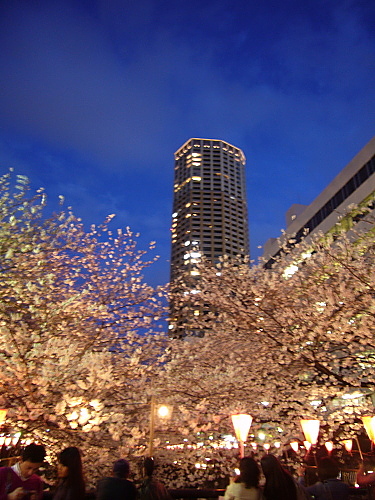 b0114403_100368.jpg