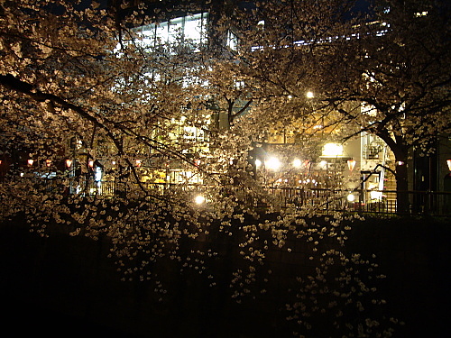 b0114403_1019743.jpg