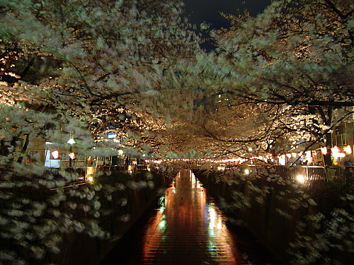 b0114403_10251994.jpg