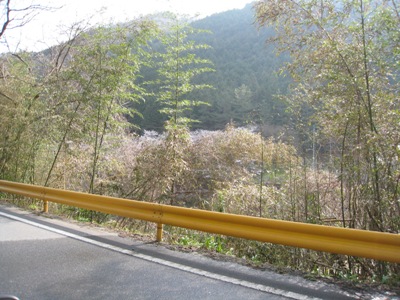 d0116205_2310544.jpg