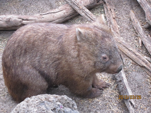 b0027009_1923744.jpg