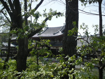 c0145209_014597.jpg