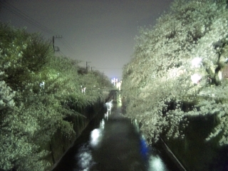 d0091909_18214051.jpg