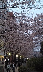 b0184211_10334957.jpg