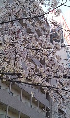 b0184211_10335886.jpg