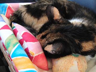 c0201113_2133544.jpg