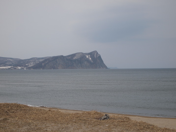 e0113915_832145.jpg