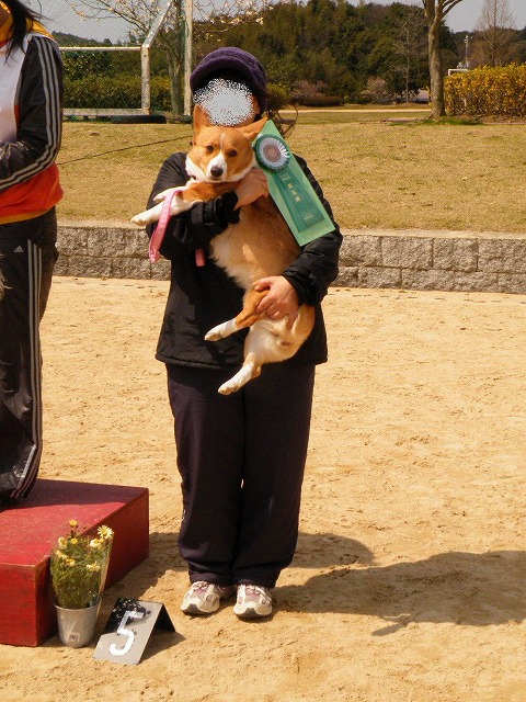 c0127617_1623538.jpg