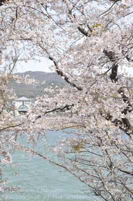 b0075318_19211136.gif