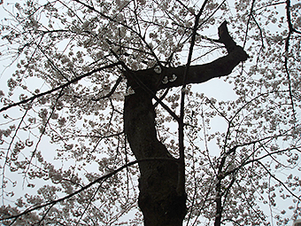 f0219718_23171114.jpg