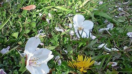 c0097620_2314527.jpg