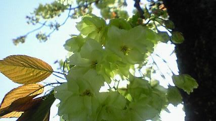 c0097620_23172046.jpg