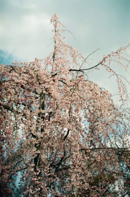 b0132924_20525773.jpg