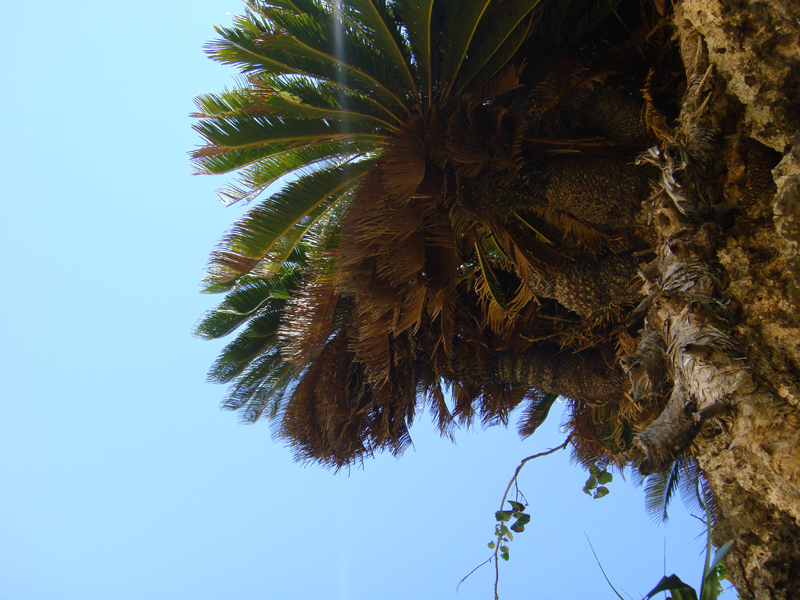 f0146625_03103.jpg