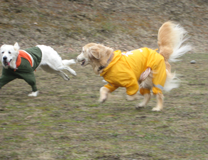 f0227228_13135153.jpg