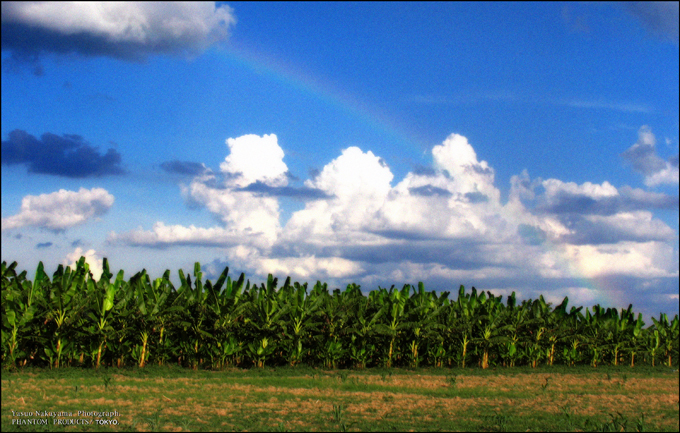 d0013329_17343368.jpg