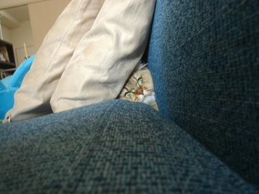 e0157129_2002814.jpg