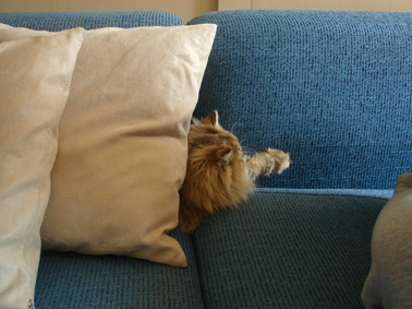e0157129_2005979.jpg