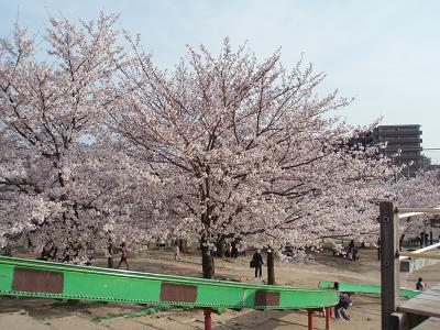 b0178631_16524530.jpg
