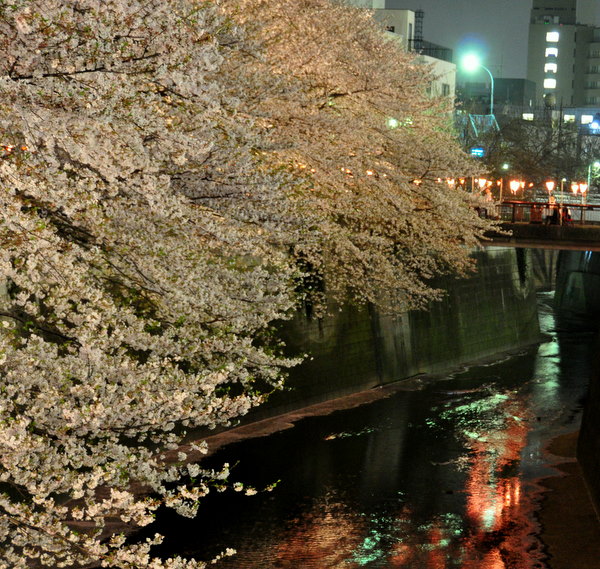 c0133533_2232018.jpg