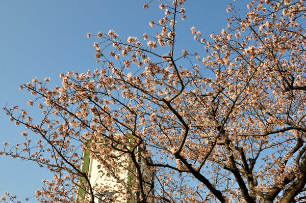 c0133533_22555780.jpg