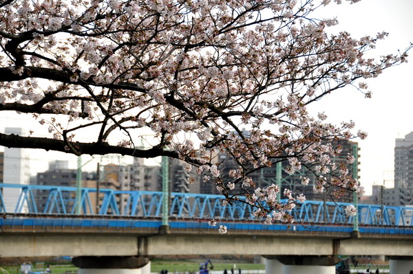 c0133533_22562518.jpg