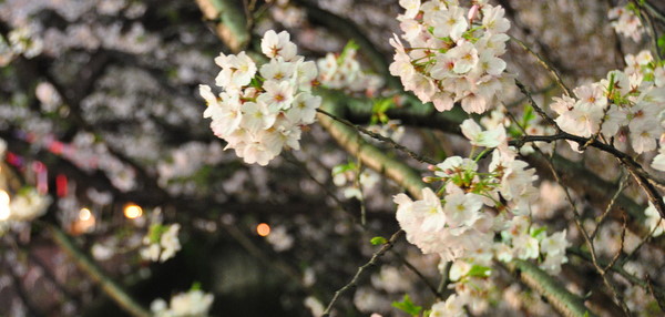 c0133533_226316.jpg
