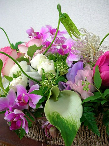 c0038434_16573840.jpg