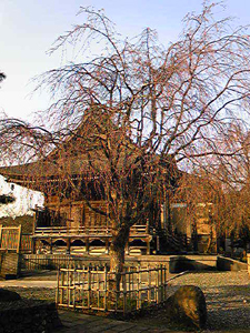 e0156339_22144666.jpg
