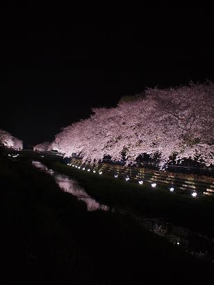 f0182239_1317414.jpg