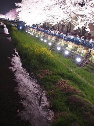 f0182239_13295568.jpg