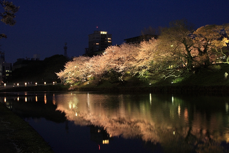 e0077041_10541554.jpg
