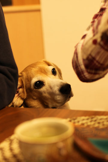 a0042044_017940.jpg