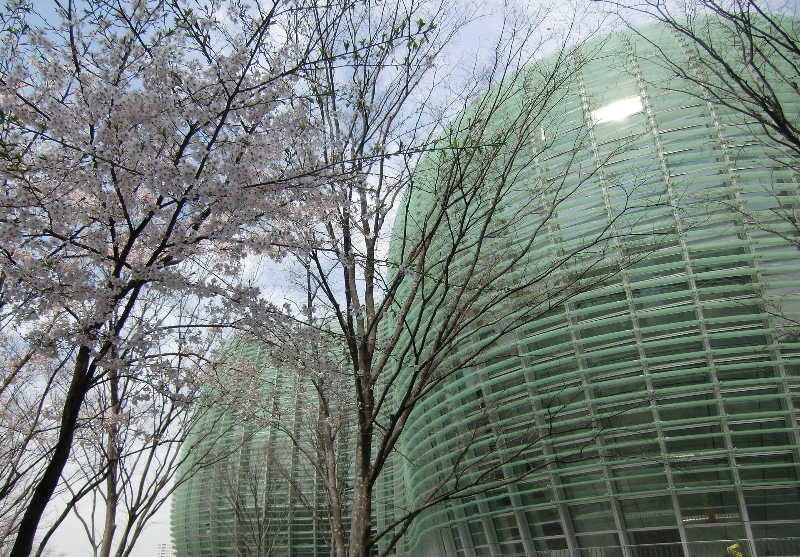 c0122445_16561935.jpg