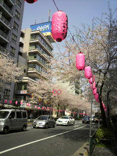 e0065350_08749.jpg