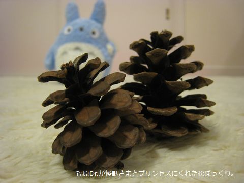 a0090451_23494898.jpg