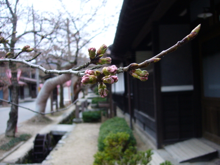 b0174451_8111865.jpg