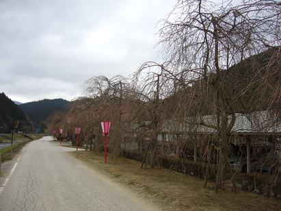 b0174451_814491.jpg