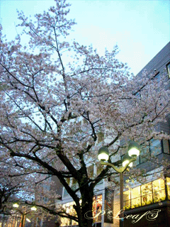 c0176651_18572486.gif