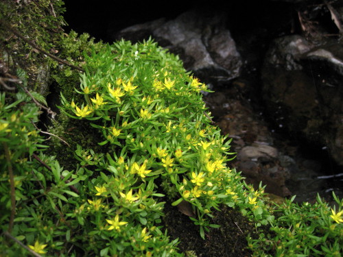 c0179351_18555780.jpg