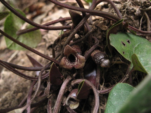 c0179351_1859734.jpg