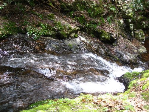 c0179351_1962356.jpg