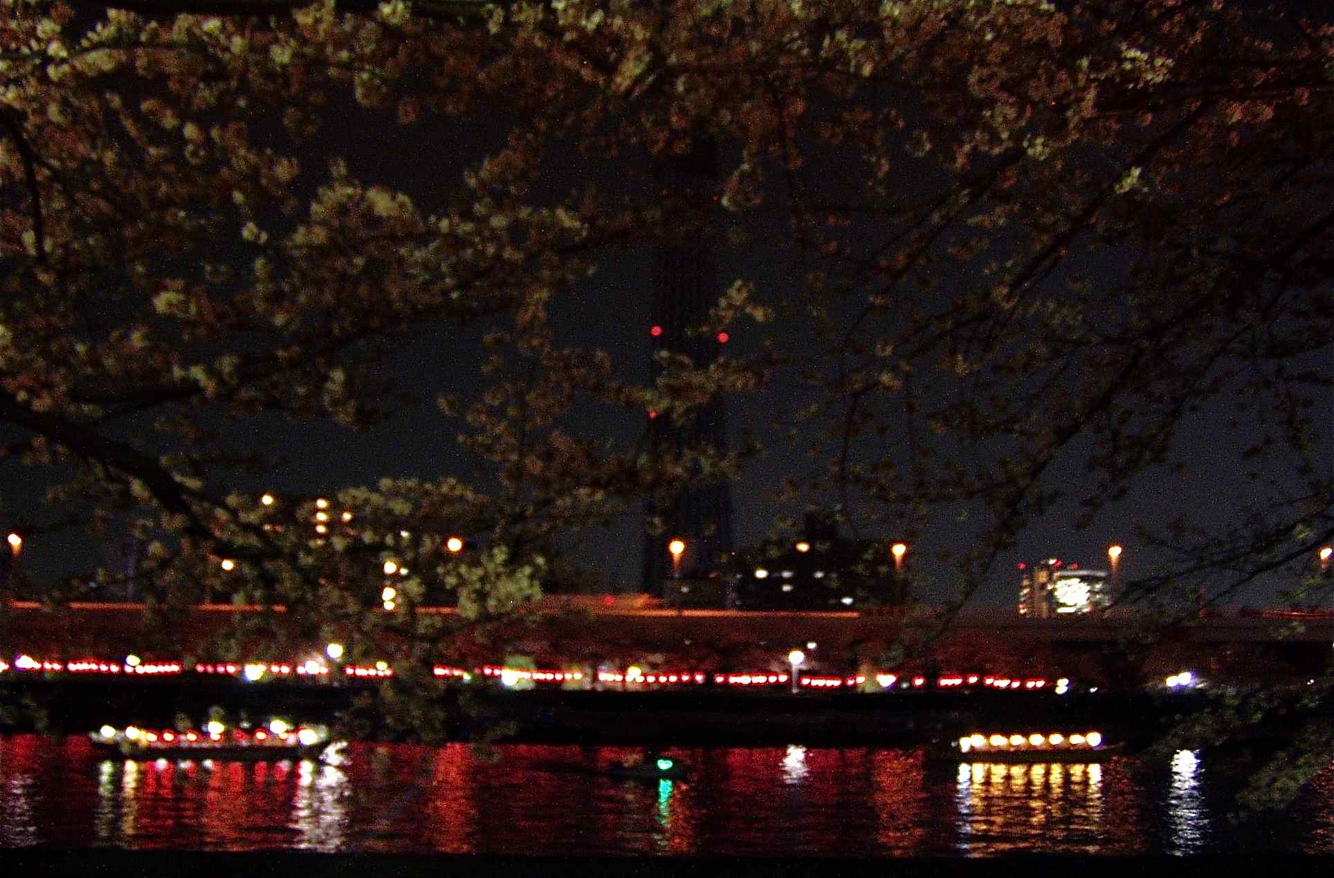 a0119252_81133.jpg