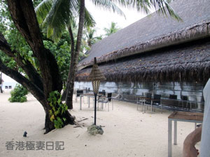 f0190653_8385036.jpg