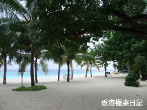 f0190653_839080.jpg