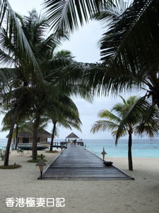 f0190653_8391468.jpg